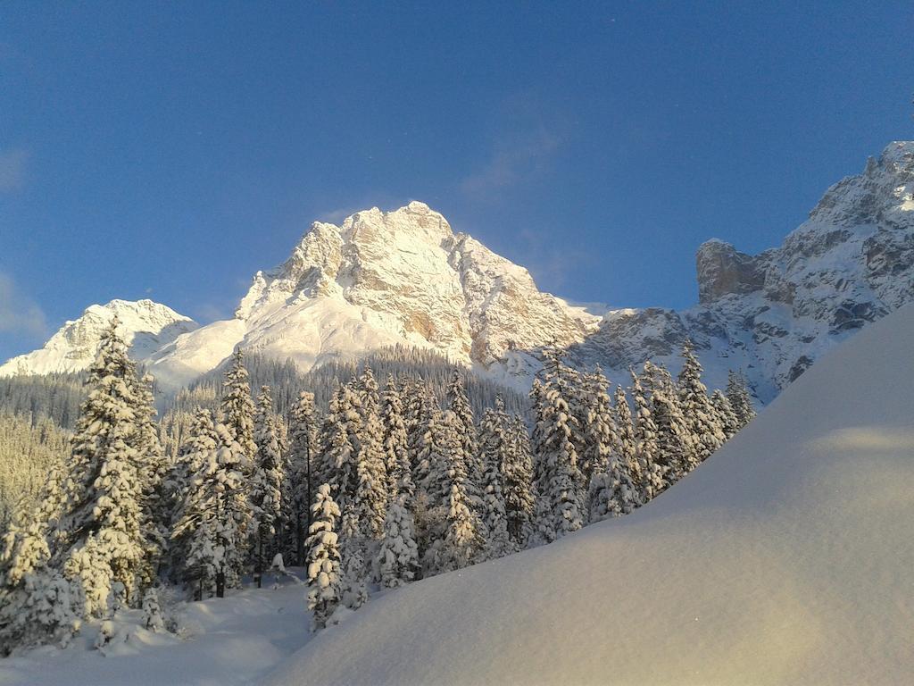 Haus Breithornblick Apartamento Maria Alm am Steinernen Meer Exterior foto
